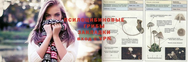 прущие крисы Пролетарск