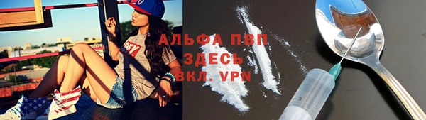 спайс Алзамай