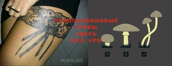 спайс Алзамай