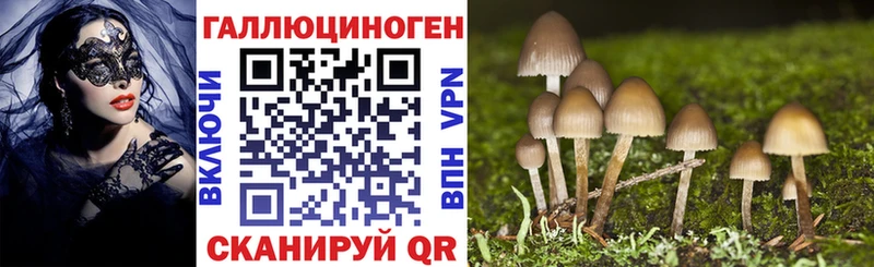 Псилоцибиновые грибы Psilocybe  где купить наркоту  Боровичи 
